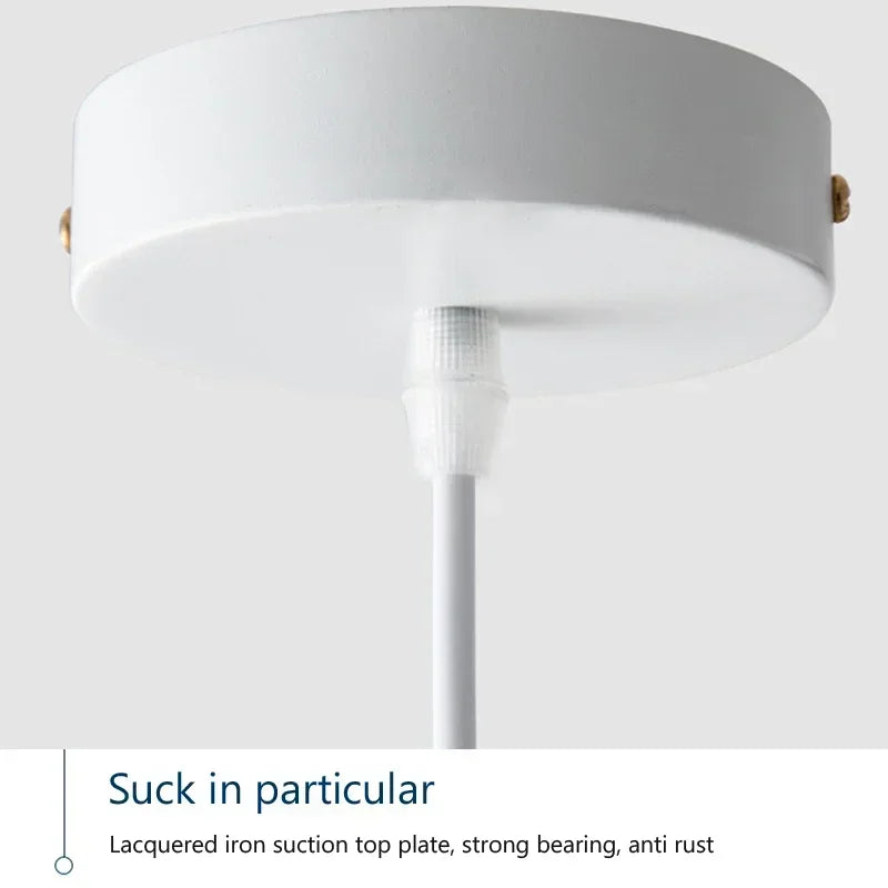 Axyaa Nordic Pendant Light for Home Decor, Elegant Ceiling Chandelier