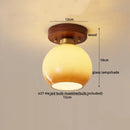 Axyaa Walnut Copper LED Ceiling Lights Modern Home Lighting