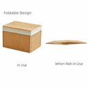 Axyaa Rattan Weave Storage Bin with Plaid Lining and Handle.
