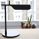 Axyaa Postmodern Black Floor Lamp Italy Design for Hotel & Home Décor
