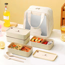 Axyaa Divided Microwave-Heatable Bento Lunch Box with Lid, Stackable for Kids & Students