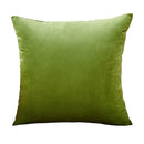 Axyaa Velvet Cushion Cover Set - Vibrant Decorative Throw Pillow Case for Living Room