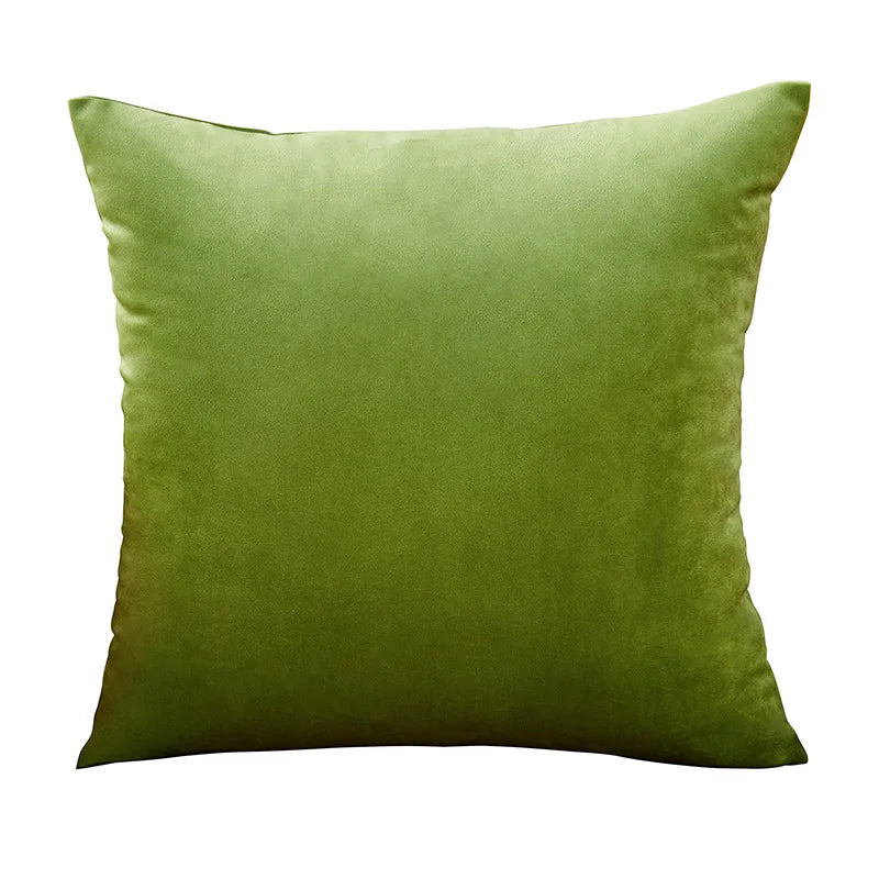 Axyaa Velvet Cushion Cover Set - Vibrant Decorative Throw Pillow Case for Living Room