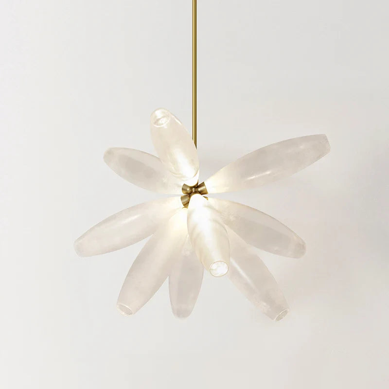 Axyaa Glass Shade LED Pendant Lights for Home Decor and Lighting