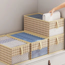Axyaa Clothing Storage Drawers Organizer for Wardrobe - Space-Saving Solution