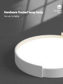 Axyaa Modern Nordic Designer LED Ceiling Lamp - 2022 Bedroom Lighting