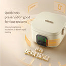 Axyaa Portable Electric Lunch Box - LCD Display, Small Capacity, Rechargeable