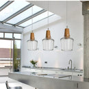 Axyaa Solid Wood Art Glass Pendant Chandelier for Home Decor