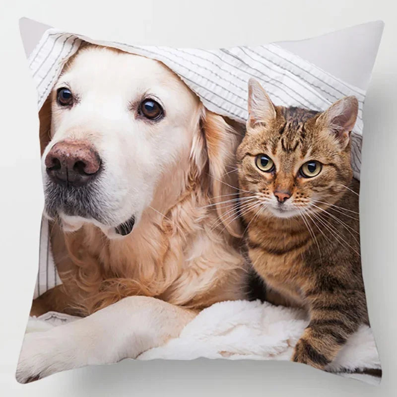Axyaa Cat Collection Pillowcase - Home & Office Decor Square Pillowcase