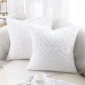 Axyaa Faux Fur Plush Cushion Covers Set - Ultra Soft Sofa Pillow Cases