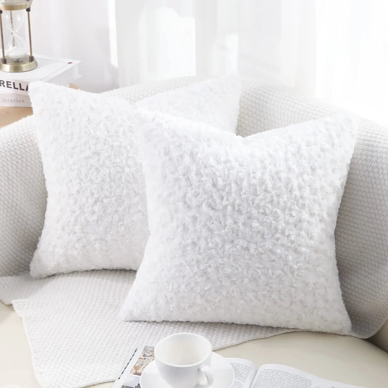 Axyaa Faux Fur Plush Cushion Covers Set - Ultra Soft Sofa Pillow Cases