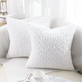 Axyaa Faux Fur Plush Pillow Cases Set of 2