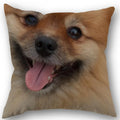 Axyaa Pomeranian Dog Pillowcase Cotton Linen Square Zipper 45X45cm Wedding Decor Pillow cover