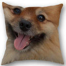 Axyaa Pomeranian Dog Pillowcase Cotton Linen Square Zipper 45X45cm Wedding Decor Pillow cover