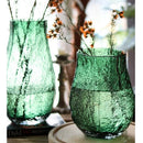 Axyaa Pleated Green Glass Vase for Hydroponics Flower Arrangement