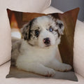 Axyaa Australian Shepherd Pillow Cover - Cute Dog Animal Cushion