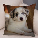 Axyaa Australian Shepherd Pillow Cover - Cute Dog Animal Cushion