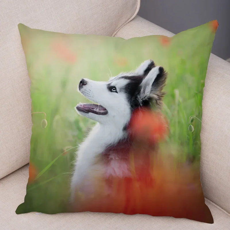 Siberian Husky Pillowcase - Axyaa Animal Cushion Cover, Decor, Cute, Dog Print
