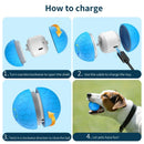 Axyaa Smart Rolling Ball Pet Toy - Interactive USB Charging Training Ball