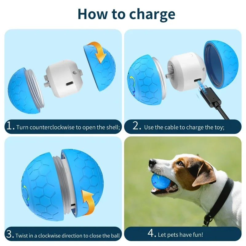 Axyaa Smart Rolling Ball Pet Toy - Interactive USB Charging Training Ball