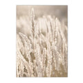 Axyaa Dandelion Reed Canvas Print Nordic Wall Art for Home Decor