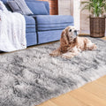 Axyaa Tie-Dye Memory Foam Plush Rug, Light Gray Large Rug for Living Room & Bedroom