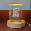 Axyaa Crystal Pet Memorial Keepsake - Personalized Sympathy Tribute Gift for Beloved Departed Pet