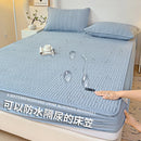 Axyaa Waterproof Cotton Bed Sheet - Antibacterial Mattress Cover