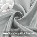 Axyaa Mulberry Silk Pillowcase Set - 100% Natural Silk for Hair & Skin