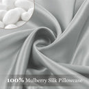 Axyaa Silk Pillowcase Set - 100% Mulberry Silk, Protects Hair and Skin