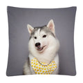 Axyaa Cute Dog Photo Polyester Cushion Cover for Home Sofa Car
