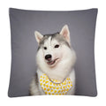 Axyaa Dog Photo Pattern Cushion Cover for Home Sofa Car Decoration