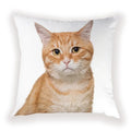 Cute Dog Cat Pillow Cover 45X45CM for Home Decor - Axyaa Brand