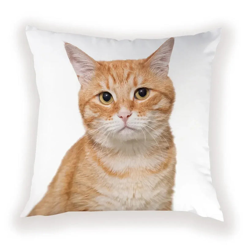 Cute Dog Cat Pillow Cover 45X45CM for Home Decor - Axyaa Brand
