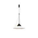 Axyaa Minimalist Nordic LED Acrylic Disc Pendant Light for Artistic Living Room and Dining Room