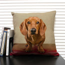 Axyaa Bulldog Dachshund Cushion Cover 45x45cm Square Linen Pillowcase