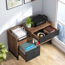 Tribesigns Axyaa Rustic Brown File Cabinet with 2 Drawers, Lateral Filing Printer Stand