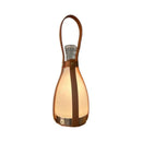 Axyaa LED Wine Bottle Ambient Light - Dimmable Living Room Decor & Bedside Lamp