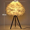Axyaa Nordic Feather LED Desk Lamp: Modern & Minimalist Lighting Fixture