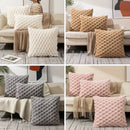 Axyaa Faux Fur Plush Pillow Cover for Sofa, Bed, Living Room