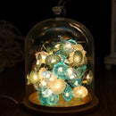 Axyaa Marine Themed Seashell Starfish Fairy Lights