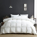 Axyaa Ultra Soft Full/Queen Down Comforter - Winter Weight for Cold Sleepers