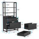 Axyaa 2 Drawer Vertical File Cabinet with Lock and Bookshelf, Modern Filing Printer Stand