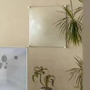 Axyaa Modern Designer Wall Lamp - Minimalist Italian Style for Bedroom and Living Room