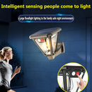 Axyaa Solar Outdoor Garden Lamps - LED Induction Landscape Lighting