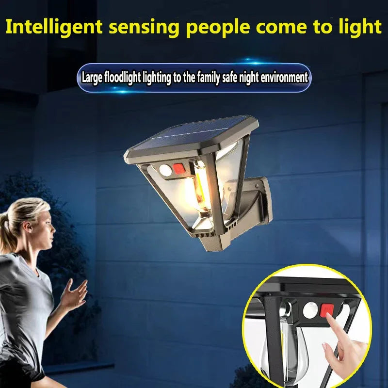 Axyaa Solar Outdoor Garden Lamps - LED Induction Landscape Lighting