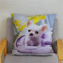 Chihuahua Dog Printed Cushion Cover by Axyaa for Home Decor