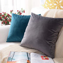 Axyaa Soft Velvet Pillow Cover for Modern Home Decor