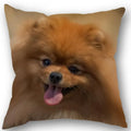 Axyaa Pomeranian Dog Pillowcase Cotton Linen Square Zipper 45X45cm Wedding Decor Pillow cover