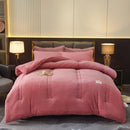 Axyaa Double-Sided Milk Wool Lamb Wool Warm Thick Winter Quilt Core